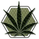 Mr. Cbd Chicago Coupon Codes